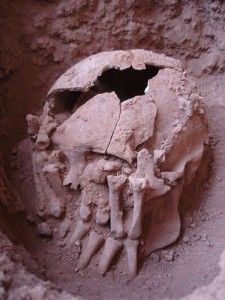 Excavación decapitado Brasil