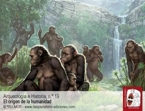 Adaptarse o extinguirse. Determinantes paleoambientales para la evolución de los homininos por Jordi Nadal (Universitat de Barcelona)