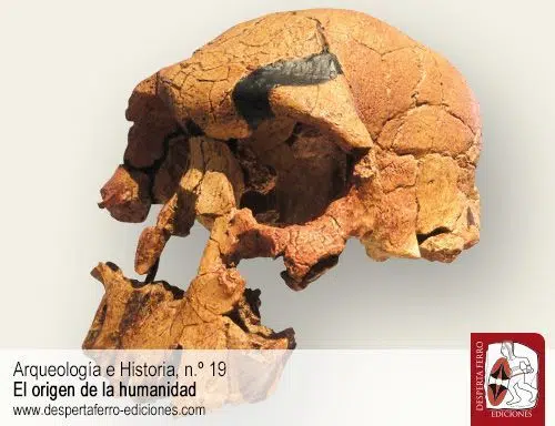 Antropología de los primeros humanos. El Homo antiguo en África por Susan Antón (New York University)