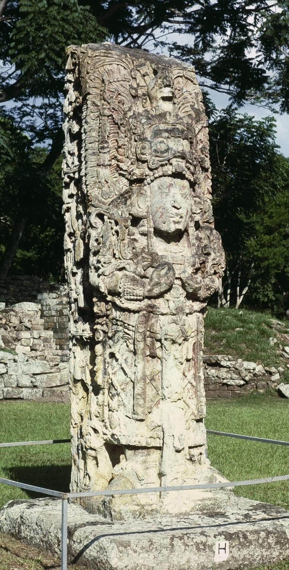 viaje arqueológico al mundo maya Copán 