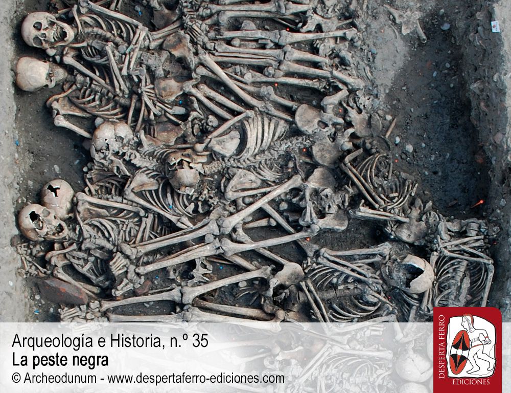 Sepulturas y cementerios. La arqueología de la peste negra por Dominique Castex y Sacha Kacki (Université Bordeaux)