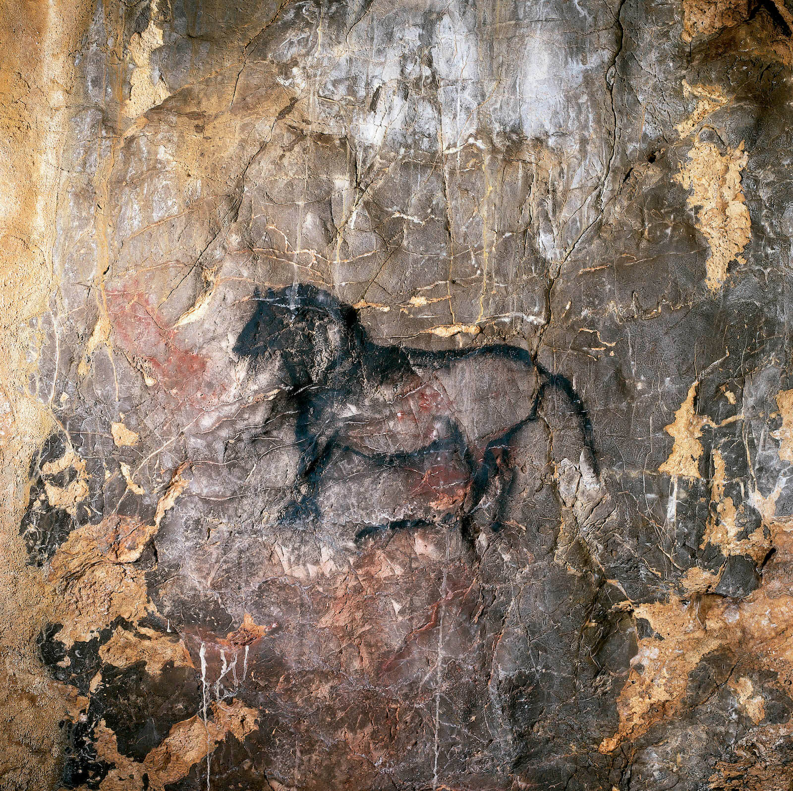 arte parietal de la cueva de La Garma