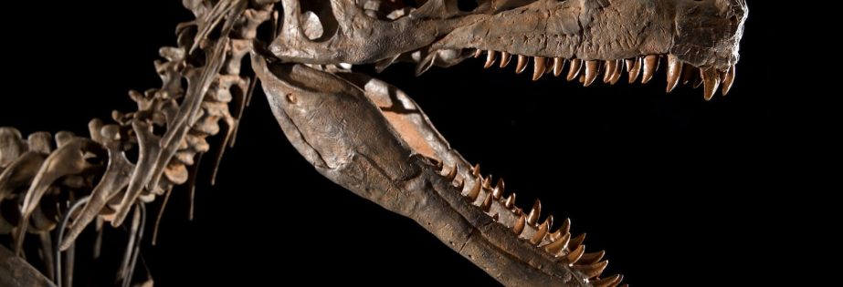 Balduino IV. El rey leproso - Desperta Ferro Ediciones