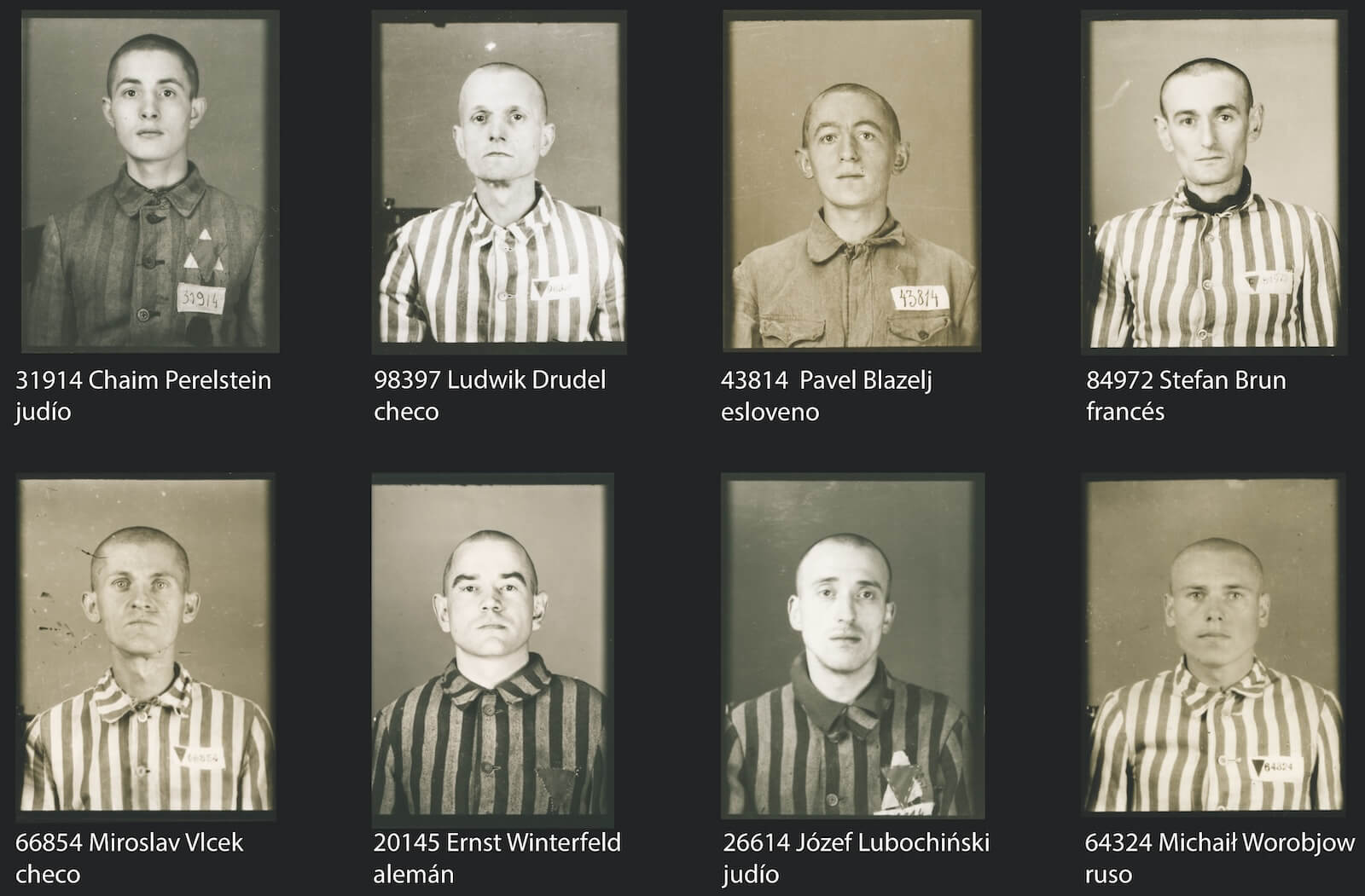 nacionalidad prisioneros Auschwitz